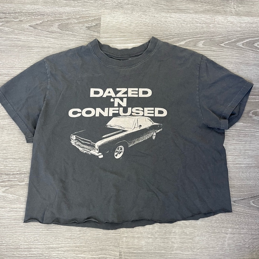 Grey Brandy Melville/ John Galt baby tee